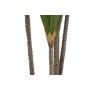 Plante décorative DKD Home Decor (80 x 80 x 180 cm) de DKD Home Decor, Plantes artificielles - Réf : S3042191, Prix : 150,37 ...