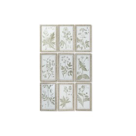 Cuadro DKD Home Decor Cottage Plantas botánicas 30 x 2 x 50 cm (9 Unidades) de DKD Home Decor, Impresiones sobre lienzo - Ref...