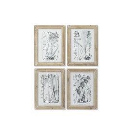 Quadro DKD Home Decor Moderno Piante botaniche 30 x 2 x 40 cm (4 Unità) di DKD Home Decor, Stampe e quadri su tela - Rif: S30...