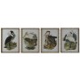 Cadre DKD Home Decor Oiseaux Oriental 45 x 3 x 60 cm (4 Unités) | Tienda24 - Global Online Shop Tienda24.eu