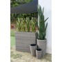 Set di vasi da fiori Home ESPRIT polipropilene Rattan 37 x 37 x 60 cm di Home ESPRIT, Cachepot - Rif: S3054562, Prezzo: 75,95...