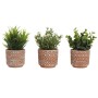 Plante décorative Home ESPRIT Polyéthylène Ciment 12 x 12 x 17 cm (3 Unités) | Tienda24 - Global Online Shop Tienda24.eu