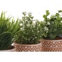 Decorative Plant Home ESPRIT Polyethylene Cement 12 x 12 x 17 cm (3 Units) by Home ESPRIT, Artificial Plants - Ref: S3055534,...