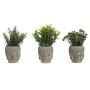 Planta Decorativa Home ESPRIT Polietileno Cemento Buda 10 x 10 x 21 cm (3 Unidades) de Home ESPRIT, Plantas - Ref: S3055536, ...