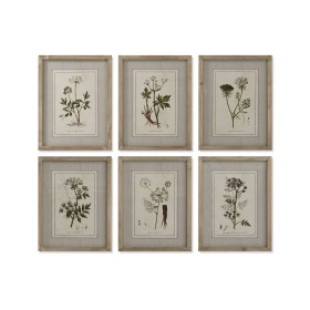 Quadro Home ESPRIT Shabby Chic Piante botaniche 30 x 2 x 40 cm (6 Unità) di Home ESPRIT, Stampe e quadri su tela - Rif: S3055...