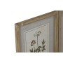 Quadro Home ESPRIT Shabby Chic Piante botaniche 30 x 2 x 40 cm (6 Unità) di Home ESPRIT, Stampe e quadri su tela - Rif: S3055...