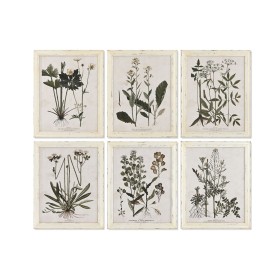 Painting Home ESPRIT Shabby Chic Botanical plants 40 x 1,5 x 50 cm (6 Units) by Home ESPRIT, Prints on Canvas - Ref: S3055706...