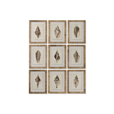 Cadre Home ESPRIT méditerranéen Conque 30 x 2,5 x 40 cm (9 Unités) de Home ESPRIT, Impressions sur toile - Réf : S3055711, Pr...