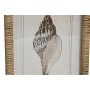 Cadre Home ESPRIT méditerranéen Conque 30 x 2,5 x 40 cm (9 Unités) de Home ESPRIT, Impressions sur toile - Réf : S3055711, Pr...