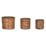 Set of Planters Home ESPRIT Brown Metal Rattan Tropical 31 x 31 x 27 cm by Home ESPRIT, Cachepots - Ref: S3057080, Price: 24,...