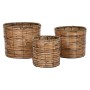 Set of Planters Home ESPRIT Brown Metal Rattan Tropical 31 x 31 x 27 cm by Home ESPRIT, Cachepots - Ref: S3057080, Price: 24,...