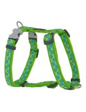 Imbracatura per Cani Red Dingo Style Stella Verde 25-39 cm da Red Dingo, Imbracature - Ref: S6100162, Precio: €13.35, Descuen...