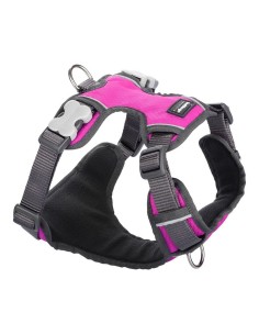 Dog Harness Red Dingo Bone Reflective 30-48 cm Orange | Tienda24 Tienda24.eu