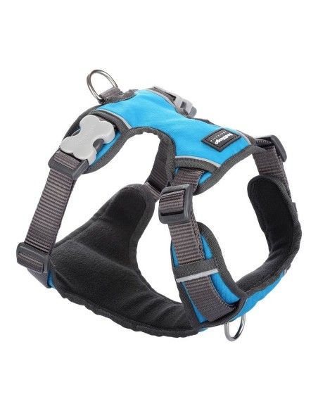 Harnais pour Chien Red Dingo Rembourré Turquoise Taille S | Tienda24 Tienda24.eu