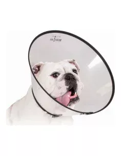 Collarín Cervical para Perros KVP Negro (20-64 cm) | Tienda24 Tienda24.eu