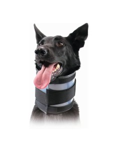 Halskrause für Hunde KVP Schwarz (20-64 cm) | Tienda24 Tienda24.eu