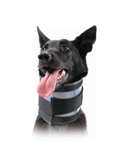 Halskrause für Hunde KVP Schwarz (6-28 cm) | Tienda24 Tienda24.eu