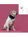 Collier cervical pour chiens KVP Noir (6-28 cm) | Tienda24 Tienda24.eu