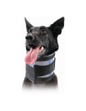 Colarinho cervical para cães KVP Preto (9-36 cm) | Tienda24 Tienda24.eu