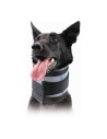 Collarín Cervical para Perros KVP Negro (20-64 cm) | Tienda24 Tienda24.eu