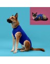 Camisola de recuperação para animais de estimação KVP Azul 21-24 cm | Tienda24 Tienda24.eu