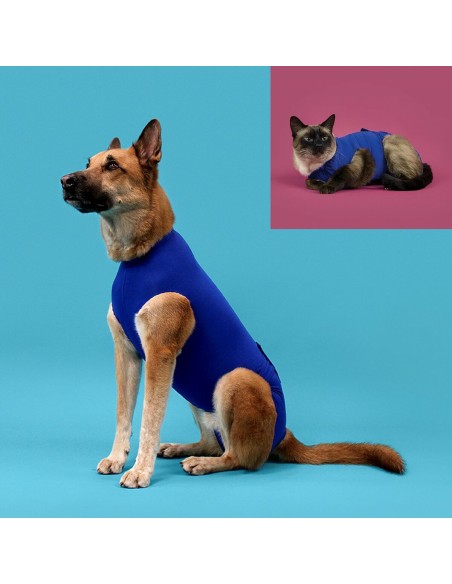 T-shirt de récupération pour animaux de compagnie KVP Bleu 35-43 cm | Tienda24 Tienda24.eu