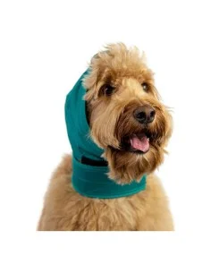 Ear Protector for Dogs KVP Green Size L | Tienda24 Tienda24.eu