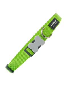 Dog collar Gloria Padded Green (35 x 1,5 cm) | Tienda24 Tienda24.eu