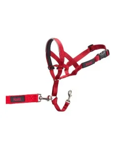 Collier d'entraînement pour chiens Company of Animals Halti Muselière (40-54 cm) | Tienda24 Tienda24.eu