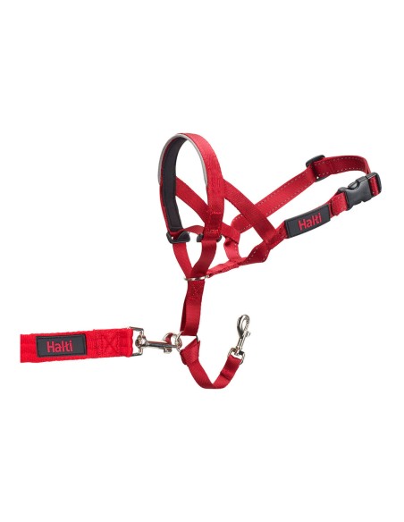 Coleira de Treino para Cães Company of Animals Halti Açaime (46-62 cm) | Tienda24 Tienda24.eu