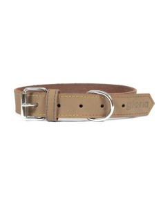 Collier pour Chien Red Dingo Lisse Étoile Etoiles (1,5 x 24-36 cm) | Tienda24 Tienda24.eu