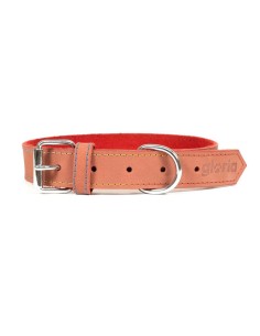 Coleira para Cães Gloria Cor de Rosa Tamanho L (36-70 cm) | Tienda24 Tienda24.eu