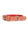 Collare per Cani Gloria Oasis Rosso (1,5 x 40 cm) da Gloria, Collari - Ref: S6100684, Precio: €6.98, Descuento: %