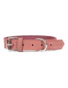 Dog collar Gloria Oasis Pink (50 x 2,1 cm) | Tienda24 Tienda24.eu