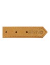 Dog collar Gloria Oasis Yellow (60 x 3 cm) | Tienda24 Tienda24.eu