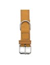 Dog collar Gloria Oasis Yellow (70 x 3 cm) | Tienda24 Tienda24.eu