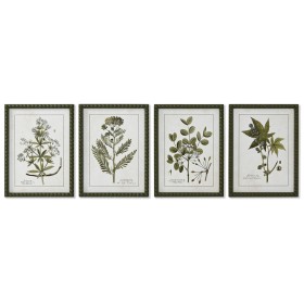 Pintura Home ESPRIT Verde Bege Shabby Chic Plantas botânicas 30 x 2,5 x 40 cm (4 Unidades) de Home ESPRIT, Impressões sobre t...