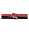 Collar para Perro Gloria Acolchado Rojo 50 cm (50 x 2,5 cm) | Tienda24 Tienda24.eu