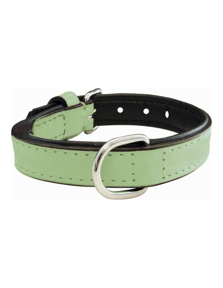 Collar para Perro Gloria Acolchado Verde (50 x 2,5 cm) | Tienda24 Tienda24.eu