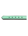 Dog collar Gloria Padded Green (50 x 2,5 cm) | Tienda24 Tienda24.eu