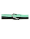 Dog collar Gloria Padded Green (50 x 2,5 cm) | Tienda24 Tienda24.eu