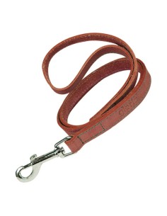 Laisse pour Chien Red Dingo Rouge (1,5 x 200 cm) | Tienda24 Tienda24.eu