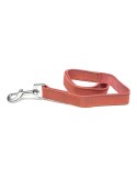 Dog Lead Gloria Oasis 2.1 x 100 cm Pink | Tienda24 Tienda24.eu