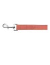 Dog Lead Gloria Oasis 2.1 x 100 cm Pink | Tienda24 Tienda24.eu