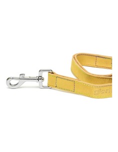 Dog Lead Gloria Oasis 1.5 x 100 cm White | Tienda24 Tienda24.eu