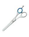 Pet Scissors Bifull Studio Stainless steel (15 cm) (15,2 cm) | Tienda24 Tienda24.eu