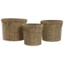 Set de Maceteros Home ESPRIT Marrón Metal Fibra Tropical 36 x 36 x 29 cm de Home ESPRIT, Maceteros - Ref: S3058149, Precio: 4...