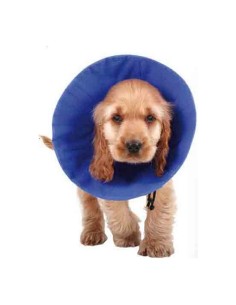 Colar Isabelino para Cães KVP Calmer Multicolor (30-41 cm) | Tienda24 Tienda24.eu