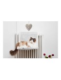 Hamac Suspendu pour Chats Gloria Bora Bora Blanc 45 x 26 x 31 cm | Tienda24 Tienda24.eu