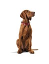 Hundehalsband Hunter Swiss 41-49 cm Rot/Schwarz | Tienda24 Tienda24.eu